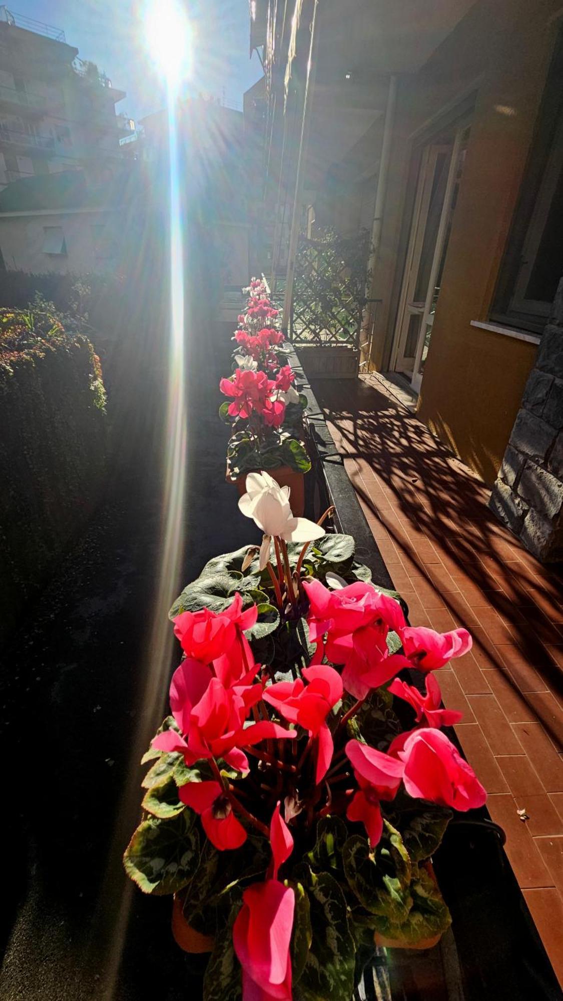Apartamento Casa Con Giardino Vicino Al Mare Rapallo Exterior foto